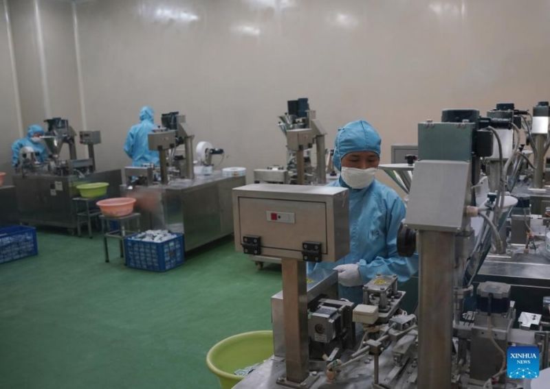 Η καλλι?ργεια Panax Notoginseng συμβ?λλει στην αγροτικ? αναζωογ?νηση στη ΝΔ Κ?να