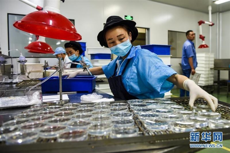 Ντανγι?νγκ, η πρωτε?ουσα των γυαλι?ν στην Κ?να: παρ?γει περισσ?τερα απ? 400 εκατομμ?ρια κομμ?τια γυαλι?ν ετησ?ω?, αντιπροσωπε?οντα? το ?μισυ του συν?λου στον κ?σμο