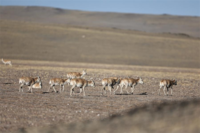 (Φωτογραφ?α / Xinhua)