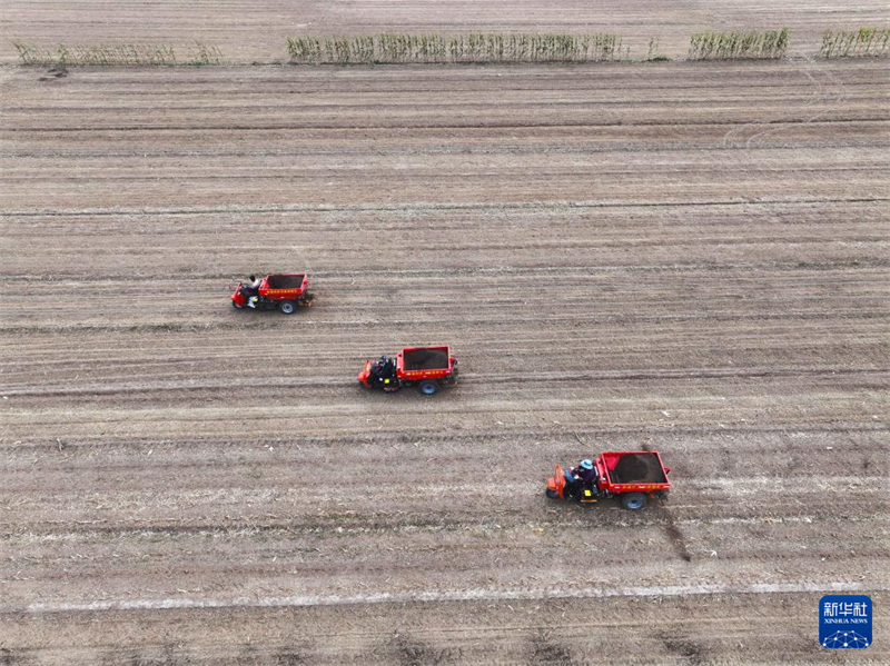 Η φθινοπωριν? φ?τευση, τη συγκομιδ? και δι?φορε? εργασ?ε? διαχε?ριση? αγρο?