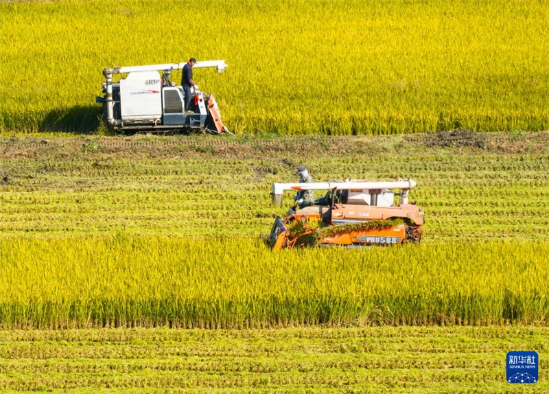Η φθινοπωριν? φ?τευση, τη συγκομιδ? και δι?φορε? εργασ?ε? διαχε?ριση? αγρο?